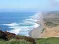 pt reyes shoreline